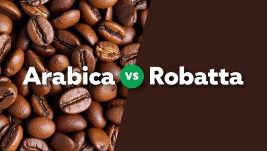 قهوه عربیکا یا روبوستا: تفاوت، طعم، قیمت و انتخاب