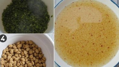 خواص دمنوش چلتوک برنج: فواید و مضرات، طرز تهیه