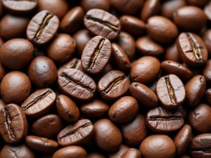 قهوه روبوستا: هر آنچه باید درباره این قهوه بدانید