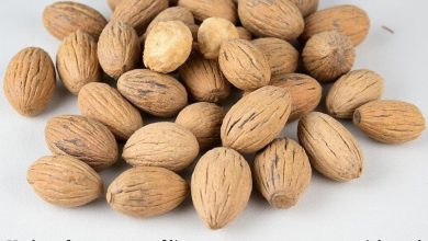 جوز بویا: خواص شگفت انگیز یا خطرات پنهان؟