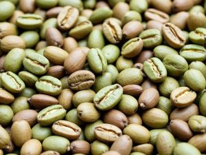 قهوه سبز: همه چیز درباره خواص، فواید و روش های مصرف