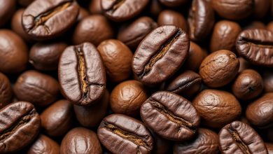 قهوه روبوستا یا عربیکا: انتخاب درست کدام است؟