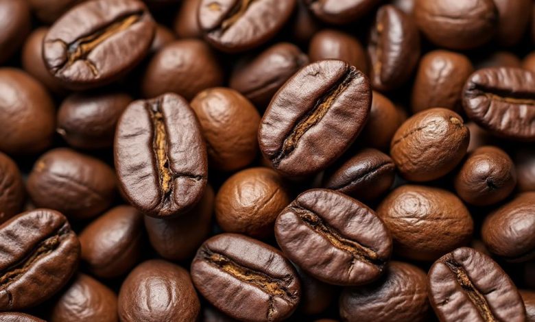 قهوه روبوستا یا عربیکا: انتخاب درست کدام است؟