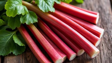 ریواس: خواص شگفت انگیز، ترکیبات و فواید بی نظیر آن