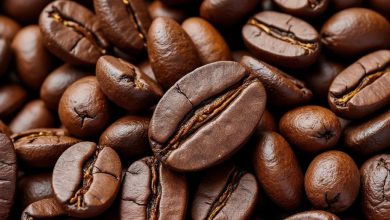 خرید قهوه عربیکا تازه برشته شده: بهترین قیمت و کیفیت؟