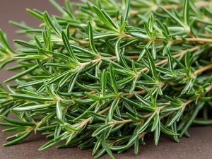 اکلیل کوهی: خواص شگفت انگیز و فواید باورنکردنی آن