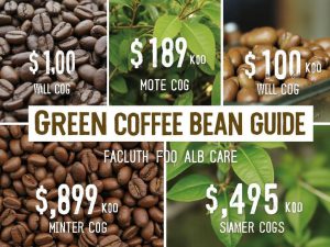 خرید قهوه سبز: راهنمای جامع و قیمت مناسب