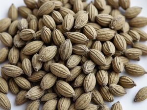 خواص زبان گنجشک: ترکیبات، شیوه مصرف صحیح و پرطرفدار!