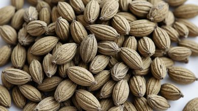 خواص زبان گنجشک: ترکیبات، شیوه مصرف صحیح و پرطرفدار!