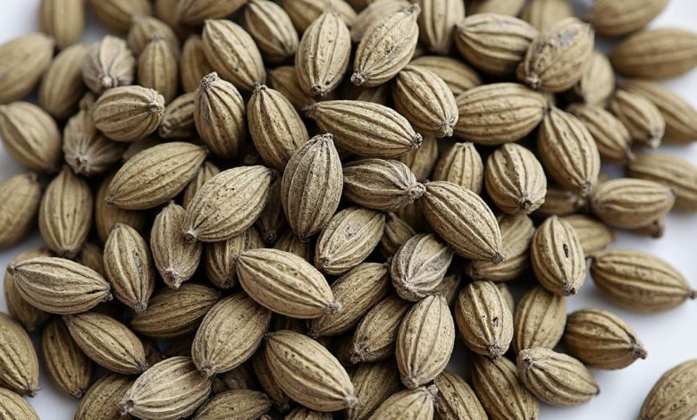 خواص زبان گنجشک: ترکیبات، شیوه مصرف صحیح و پرطرفدار!