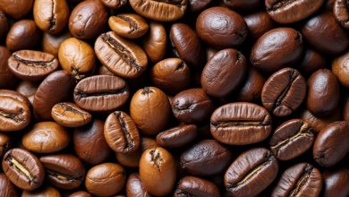 فواید قهوه عربیکا و روبوستا: محبوب ترین ها کدامند؟