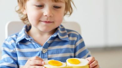 تخم مرغ دوست نداره؟ جایگزین های مقوی برای کودک