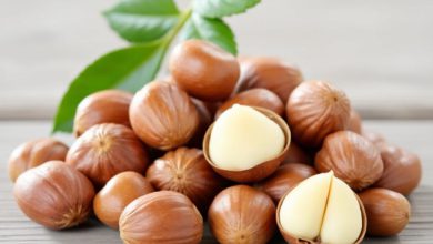 خواص فندق افسونگر: پرطرفدارترین فواید زیبایی و سلامتی!