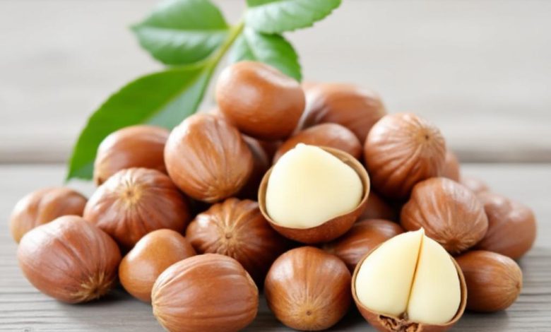 خواص فندق افسونگر: پرطرفدارترین فواید زیبایی و سلامتی!