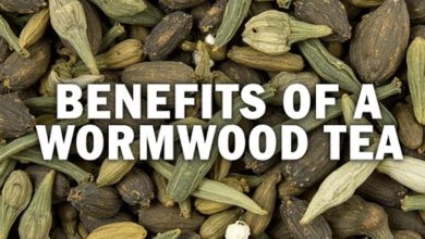 خواص افسنتین: فواید و مضرات دمنوش پرطرفدار