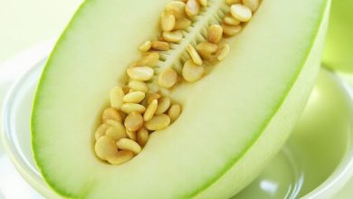 خواص دستنبو در طب سنتی: فواید و مضرات آن چیست؟