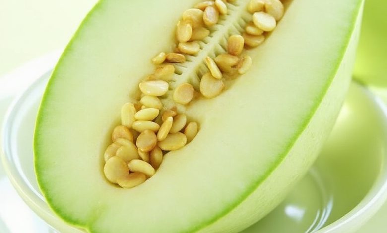 خواص دستنبو در طب سنتی: فواید و مضرات آن چیست؟