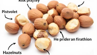 طبع فندق: خواص، فواید و مضرات آن برای سلامتی چیست؟