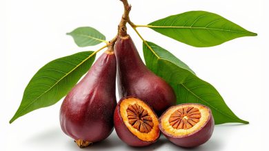 طبع تمر هندی: سرد است یا گرم؟ خواص و فواید آن