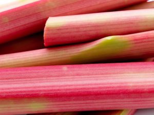 مزاج ریواس: طبع آن چیست؟ خواص و فواید ریواس