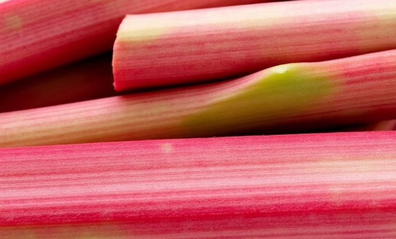 مزاج ریواس: طبع آن چیست؟ خواص و فواید ریواس