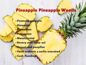 مزاج آناناس: خواص، فواید و مضرات در طب سنتی چیست؟