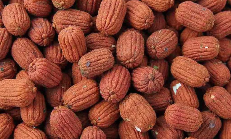 مزاج سماق: گرم است یا سرد؟ خواص و فواید آن چیست؟