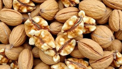 طبع گردو: خواص، مضرات و هر آنچه باید درباره آن بدانید