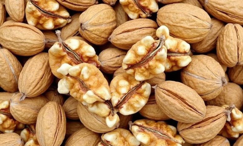 طبع گردو: خواص، مضرات و هر آنچه باید درباره آن بدانید