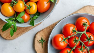 مزاج گوجه فرنگی: خواص و مضرات، چه می دانید؟