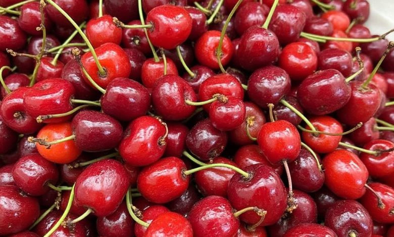 مزاج زغال اخته: فواید و مضرات آن چیست؟