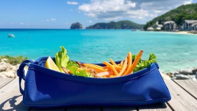 تغذیه سالم در سفر: پیشنهادات پرطرفدار و حیاتی