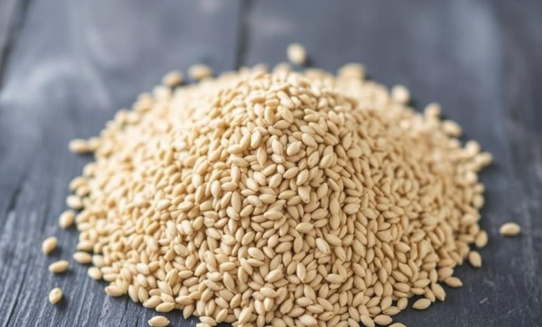 طبع تخم بارهنگ: خواص، فواید و مضرات آن چیست؟