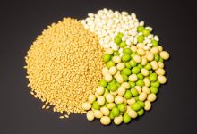 جوانه گندم و سویا: خواص شگفت انگیز و فواید باورنکردنی آنها!