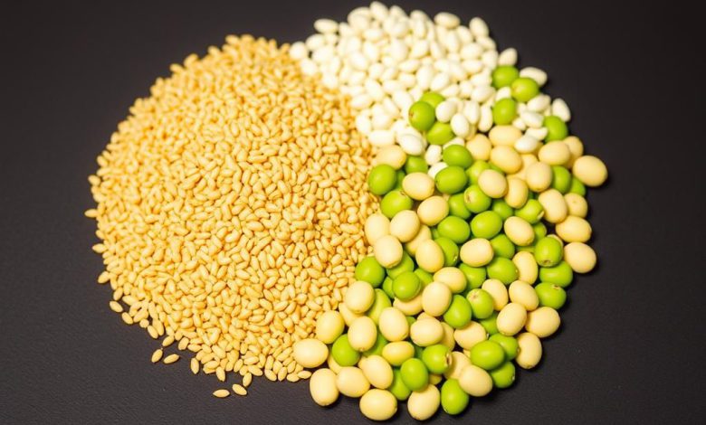 جوانه گندم و سویا: خواص شگفت انگیز و فواید باورنکردنی آنها!