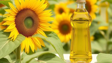 روغن آفتابگردان: خواص، طبع و بهترین استفاده ها؟