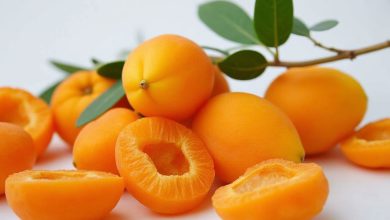 طبع قیسی: خواص، فواید و مضرات! مصرف کنیم یا نه؟