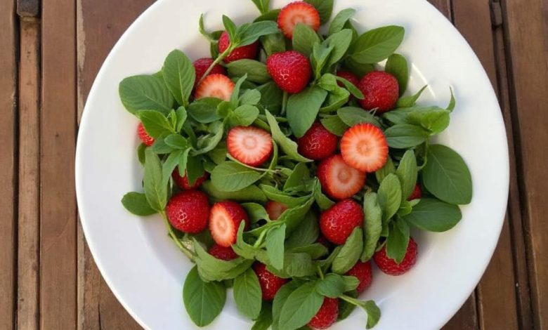 سالاد توت فرنگی و منداب: طرز تهیه خوشمزه و آسان