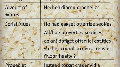 برنج چیست؟ انواع، خواص و هر آنچه باید بدانید