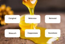 خواص موم عسل: فواید و کاربردهای پرطرفدار