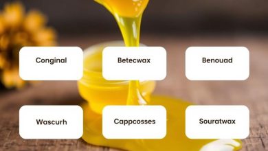 خواص موم عسل: فواید و کاربردهای پرطرفدار