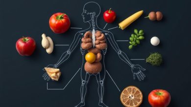 عملکرد غذا در بدن: بررسی جامع و پربازدیدترین سوالات