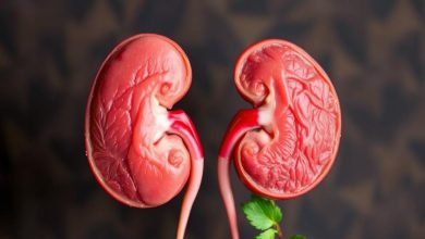 طبع قلوه: فواید، مضرات و هر آنچه باید بدانید