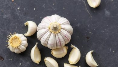 طبع سیر: خواص و کاربردها، چه می دانید؟
