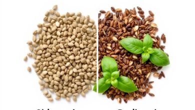 تفاوت تخم شربتی و دانه چیا: کدام بهتر است؟