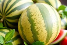 هندوانه برای دیابتی ها: بخوریم یا نه؟ قند خون بالا میرود؟