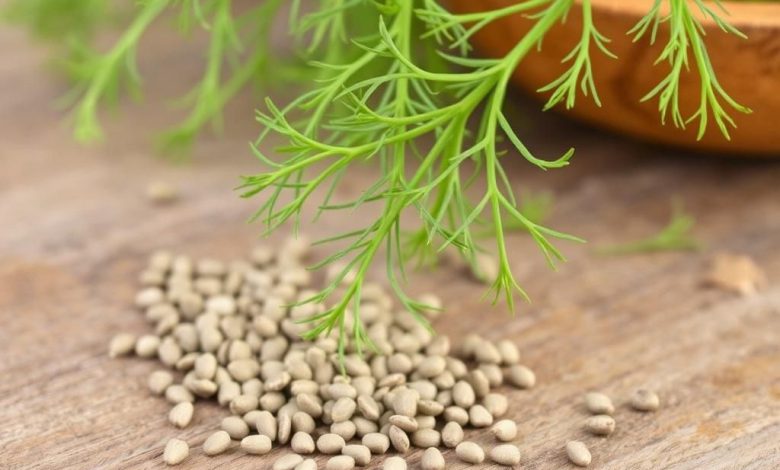 طبع به دانه: خواص، فواید و مضرات آن چیست؟