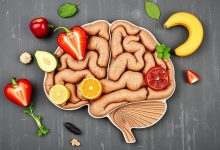 تغذیه مقوی مغز دانش آموزان راز موفقیت تحصیلی چیست