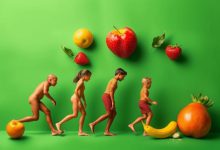 سیر تحول میوه ها در جهان تغذیه و سلامت