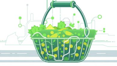 بهینه‌سازی جریان ترافیک با سبد تغذیه داده‌ها